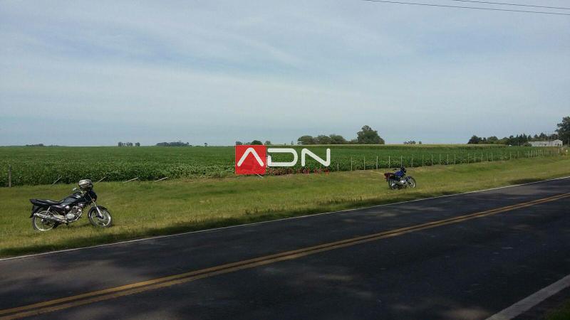 921209_985709061488603_381104391535047047_o