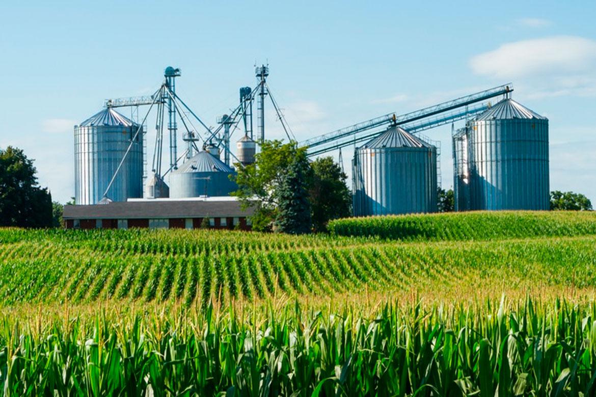 La Agroindustria Pide Levantar Toda Medida Que Atente Contra La