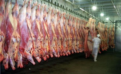 Carne frigorifico
