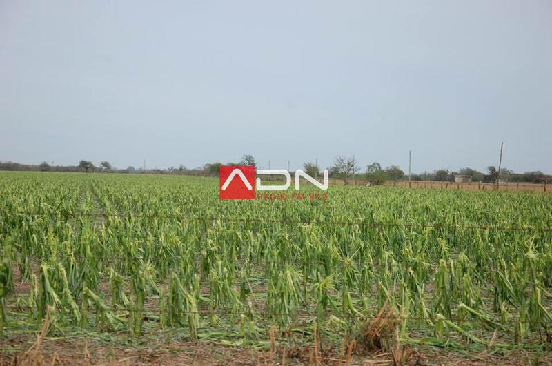 15073494_910580359073274_1569444871607327557_n