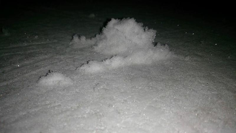 13466019_10153483262225356_2448070517085131997_n