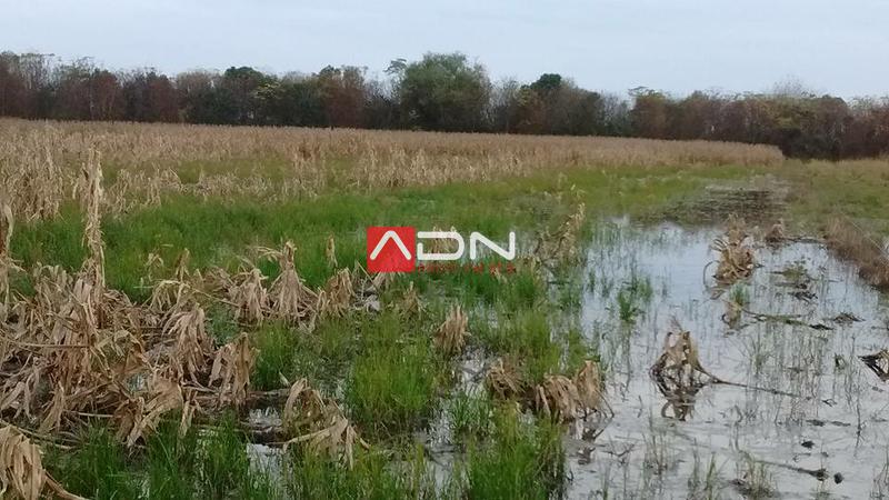 13244731_1298853546811108_5944219688474902105_n