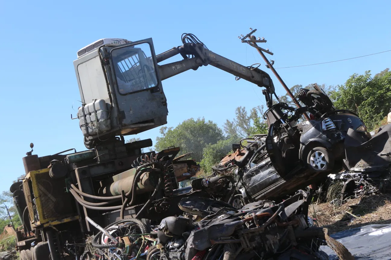 WhatsApp Image 2025-01-25 at 8.18.13 AM