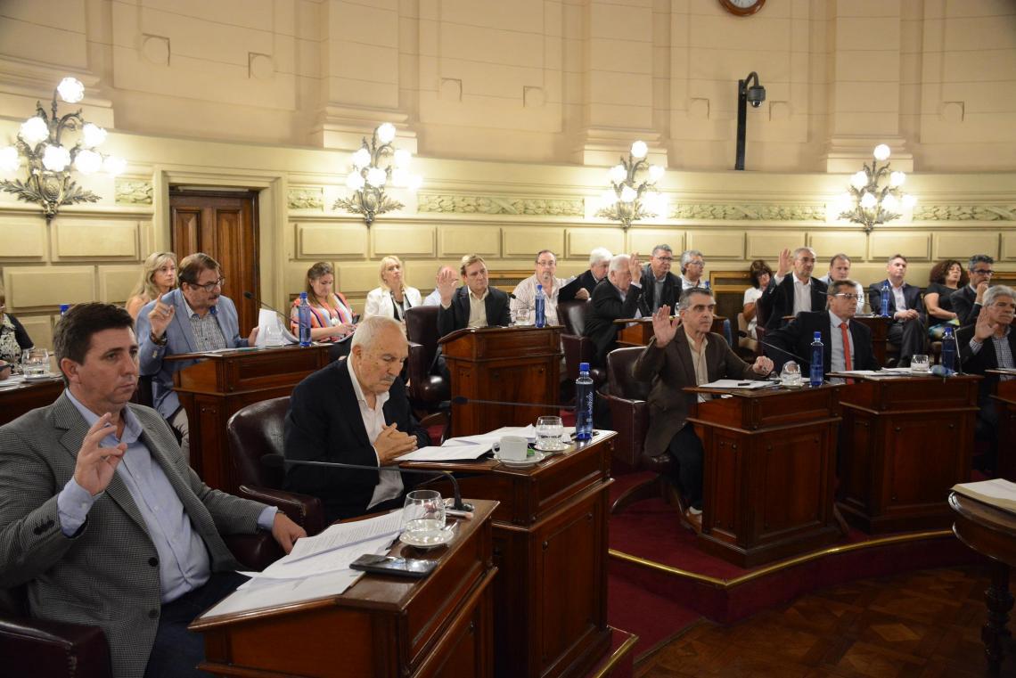 senado