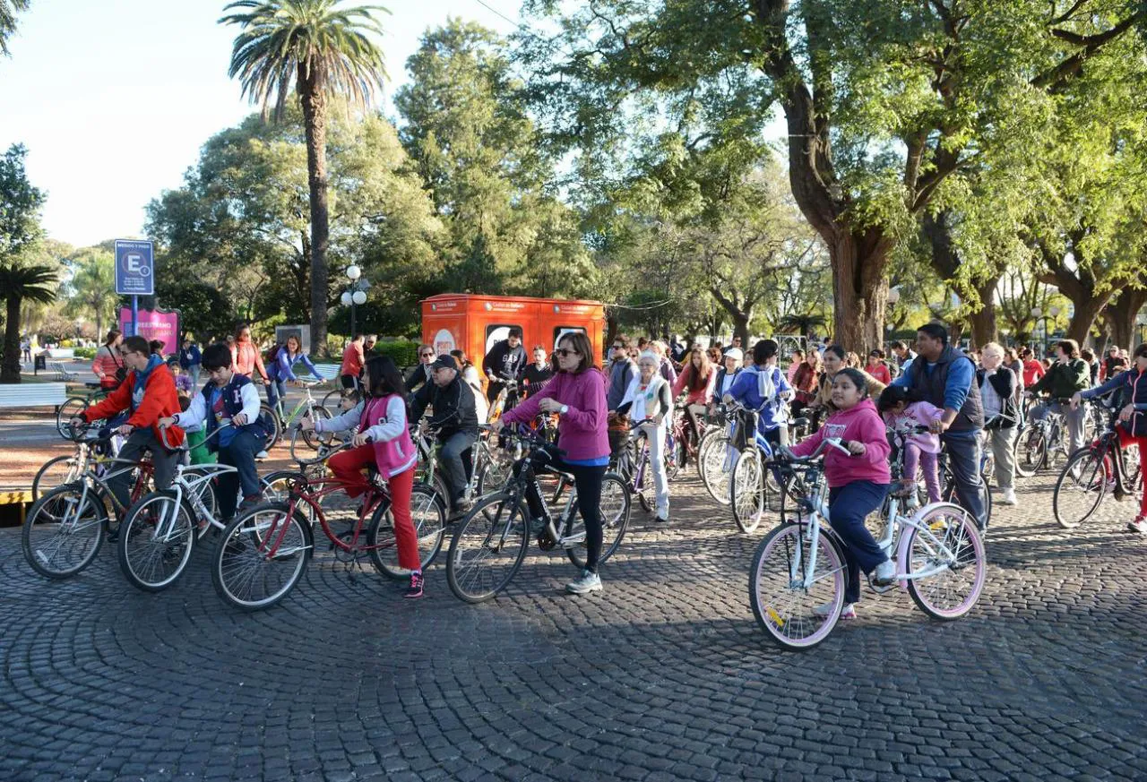 WhatsApp Image 2022-11-24 at 17.13.11