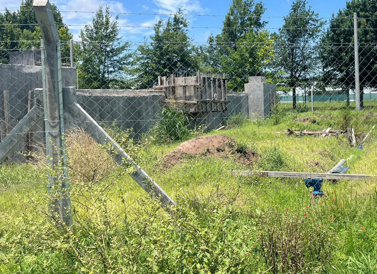 WhatsApp Image 2024-12-13 at 14.53.56