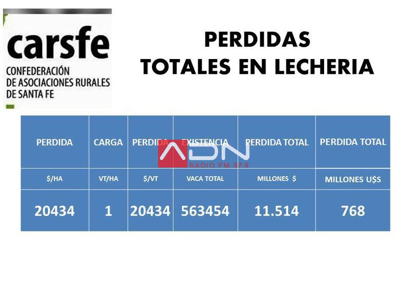 PERDIDAS LECHERIA ultimo