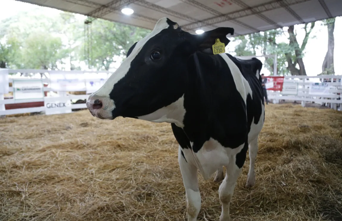 Captura de pantalla 2024-04-12 220145