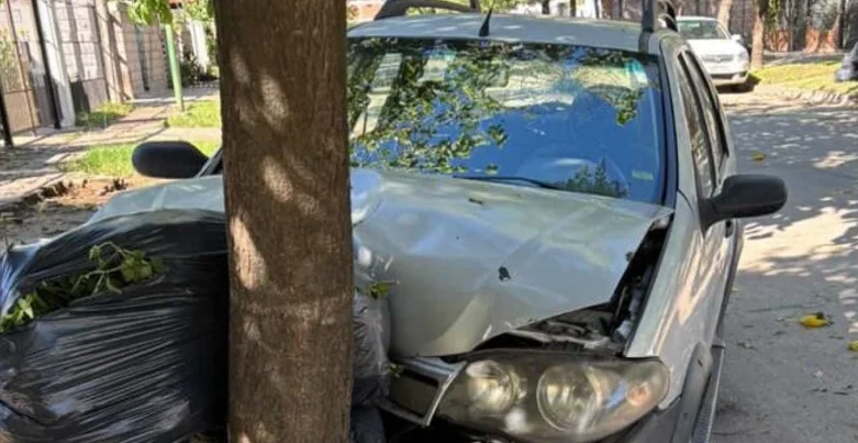 Captura de pantalla 2026-03-22 183205