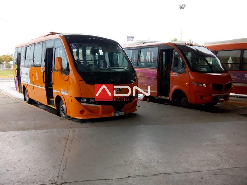 minibuses
