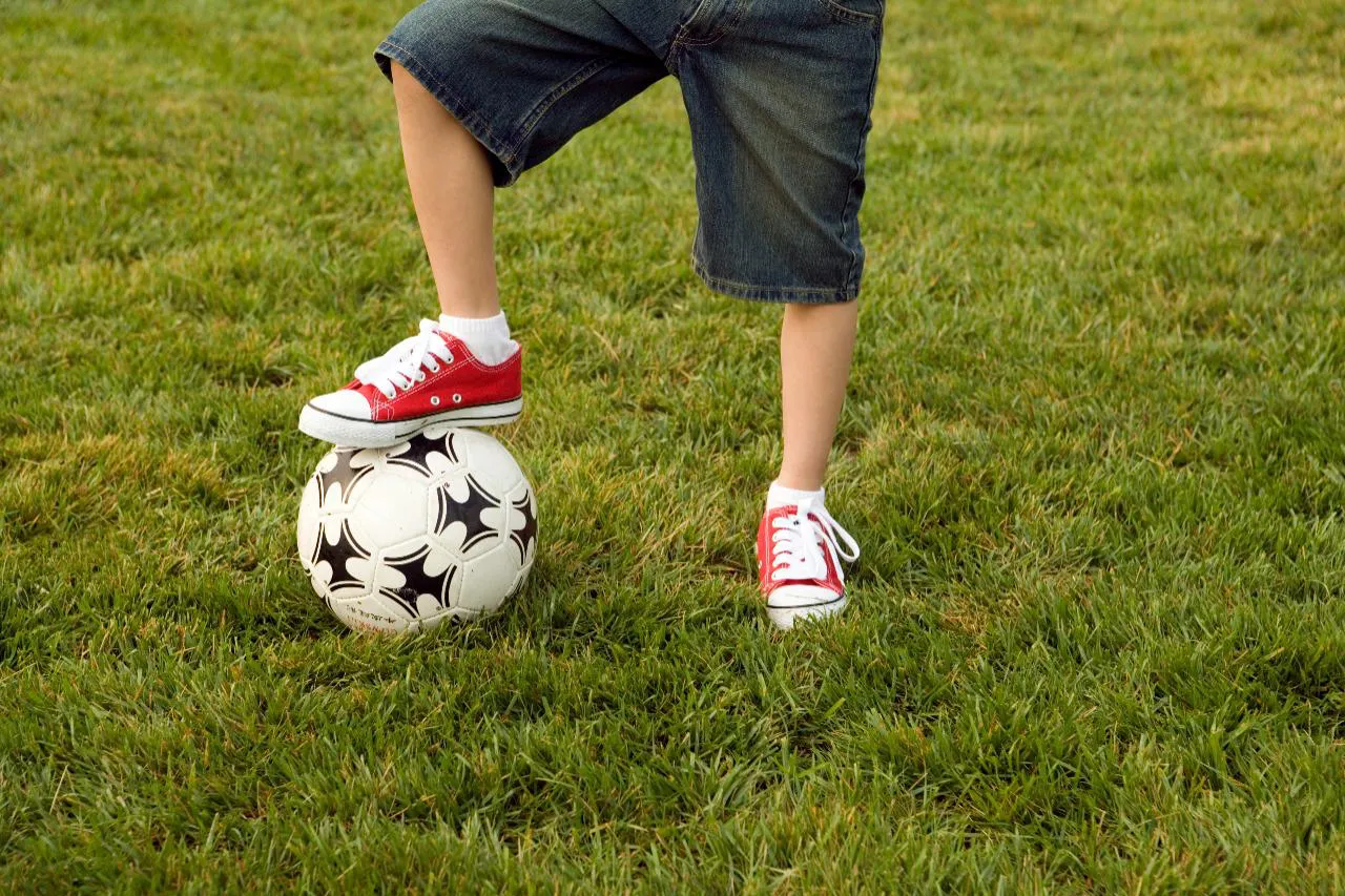 9741848d-72d6-48fb-bcff-cf609b96b44c