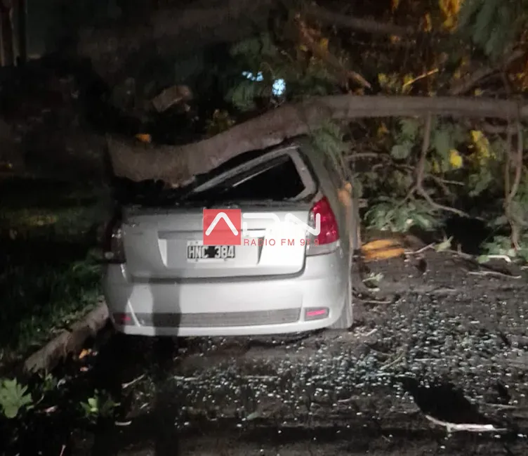 Captura de pantalla 2024-03-20 213009