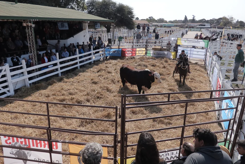 Captura de pantalla 2024-07-28 105152