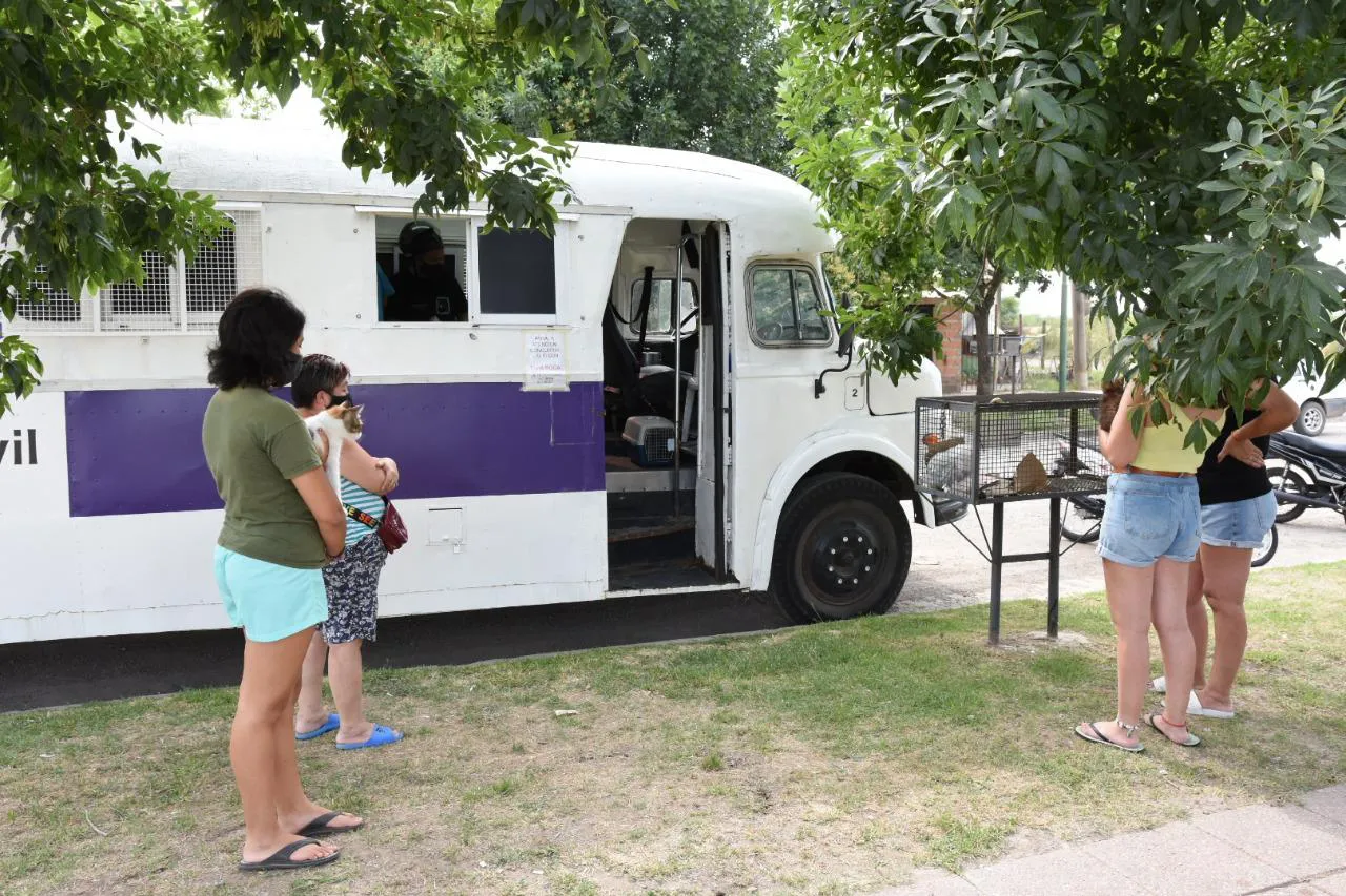 WhatsApp Image 2022-03-27 at 11.06.54 AM