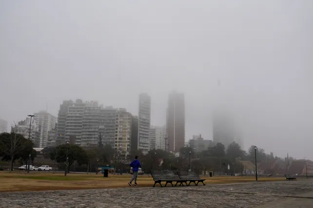 humo-111jpg