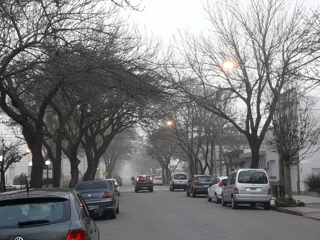 WhatsApp Image 2019-09-11 at 07.37.05