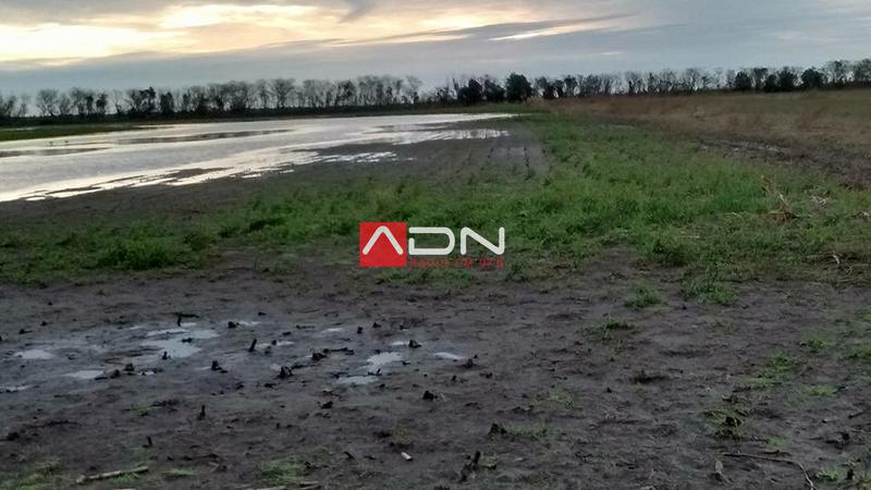 13263952_1298853356811127_5117623865666106297_n