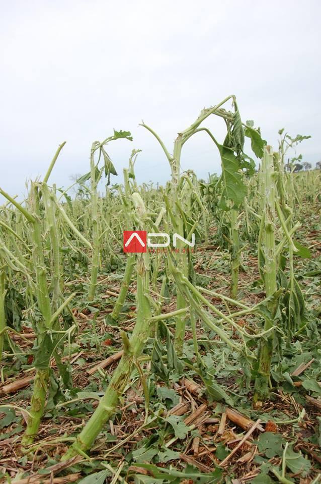 15073497_910580215739955_3081125365277815025_n