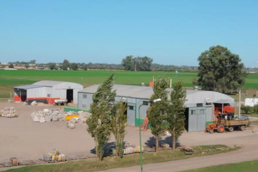 WhatsApp Image 2025-04-29 at 11.10.46 AM