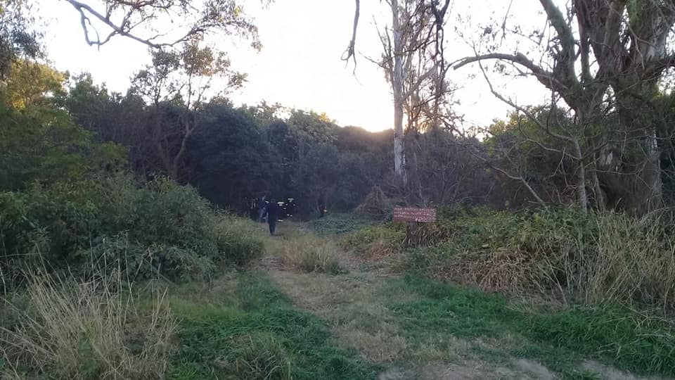 67061161_10214709982804124_4266938433915584512_n