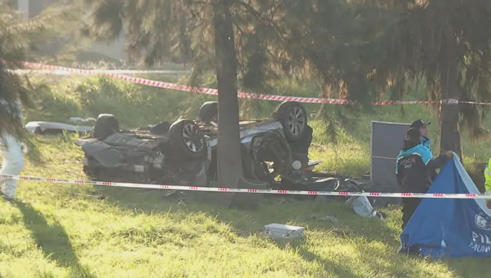 Captura de pantalla 2025-04-05 180458