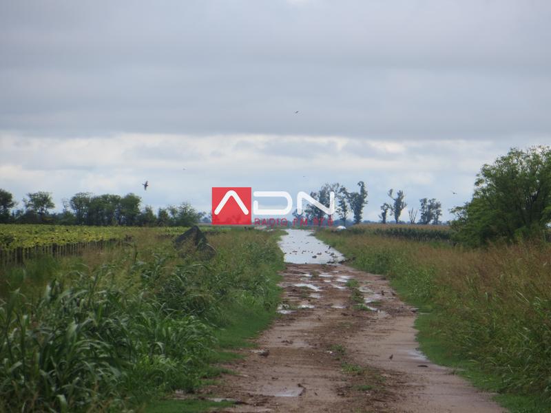 39 (S de R70, camino a Santa Clara de Saguier) 030117