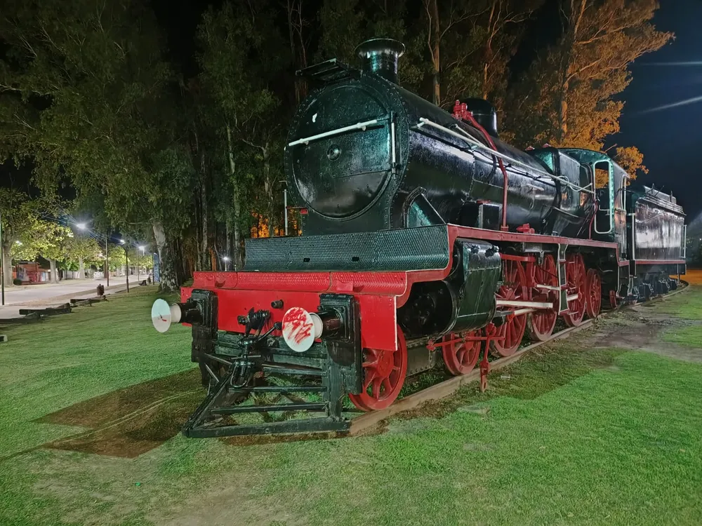LOCOMOTORA