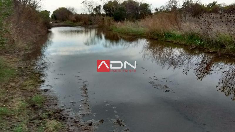 13241374_1298853923477737_1714922473855679015_n