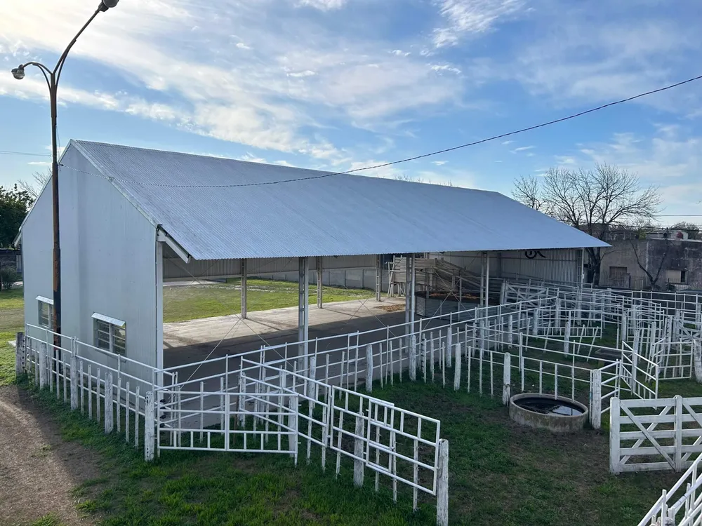 RURAL 1