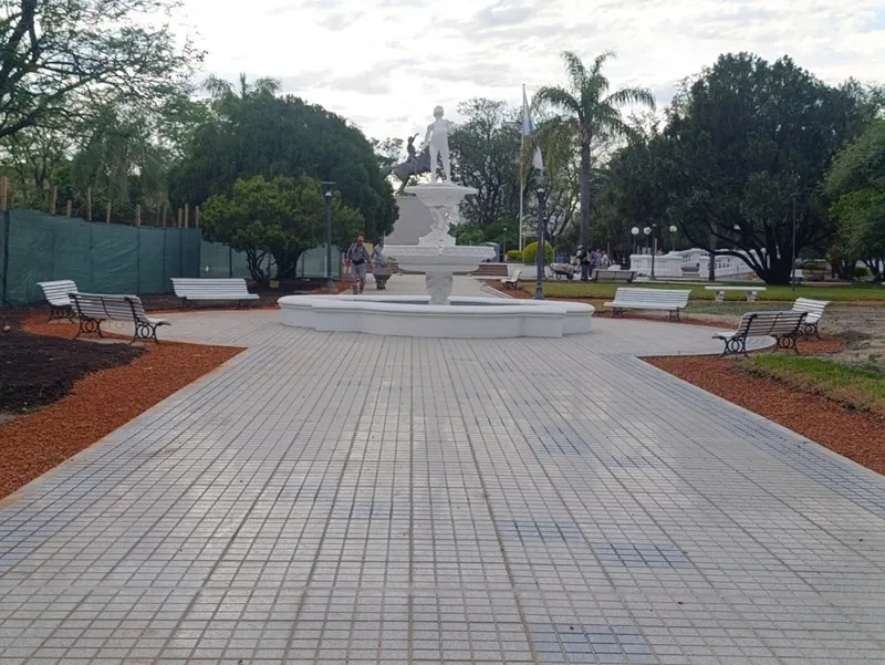 image (6)