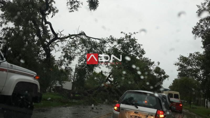 a7b531db-da73-4286-b25f-b0fa3de0a354