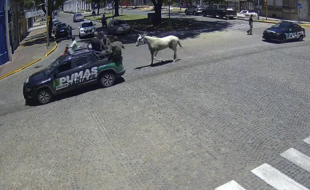 Captura de pantalla 2025-12-18 191417