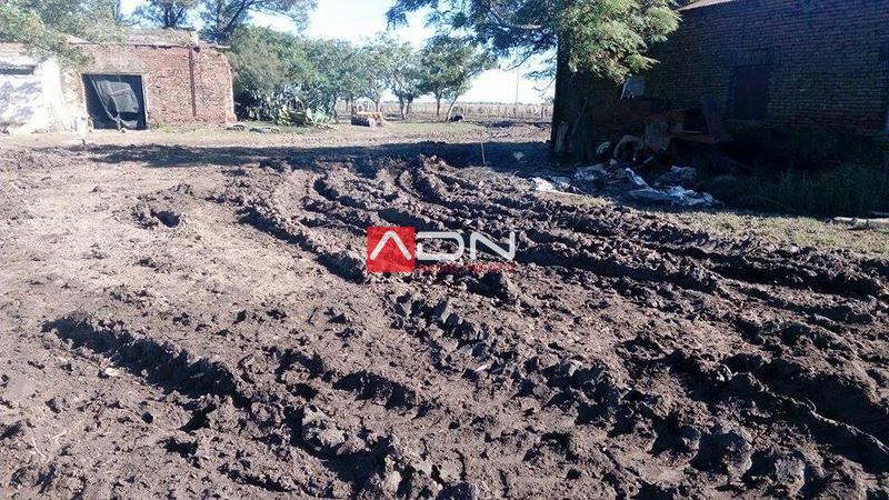 13133151_1180625675334554_3133053647068397827_n