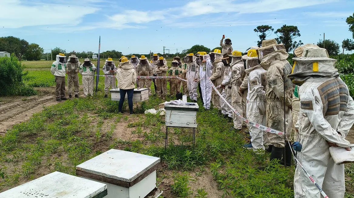 Captura de pantalla 2026-02-26 213609