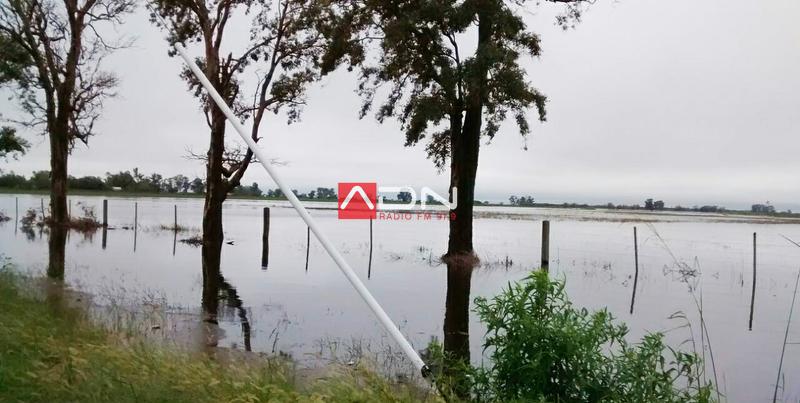 e543d660-0bc8-4e53-b283-e30d344ccc2b (1)