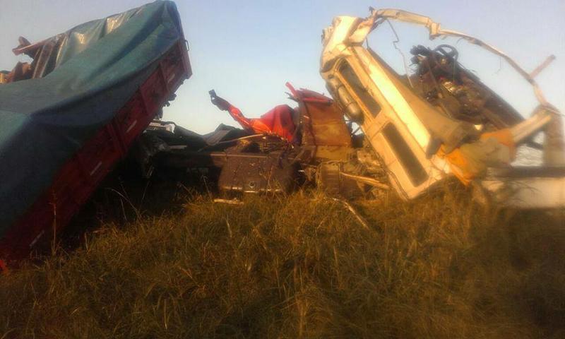 13100705_1133739780004369_4575558868116630535_n