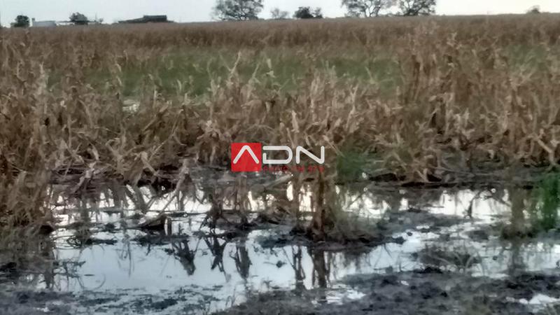 13245444_1298853666811096_1080192886277265562_n