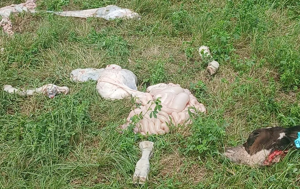 Captura de pantalla 2026-02-23 192416