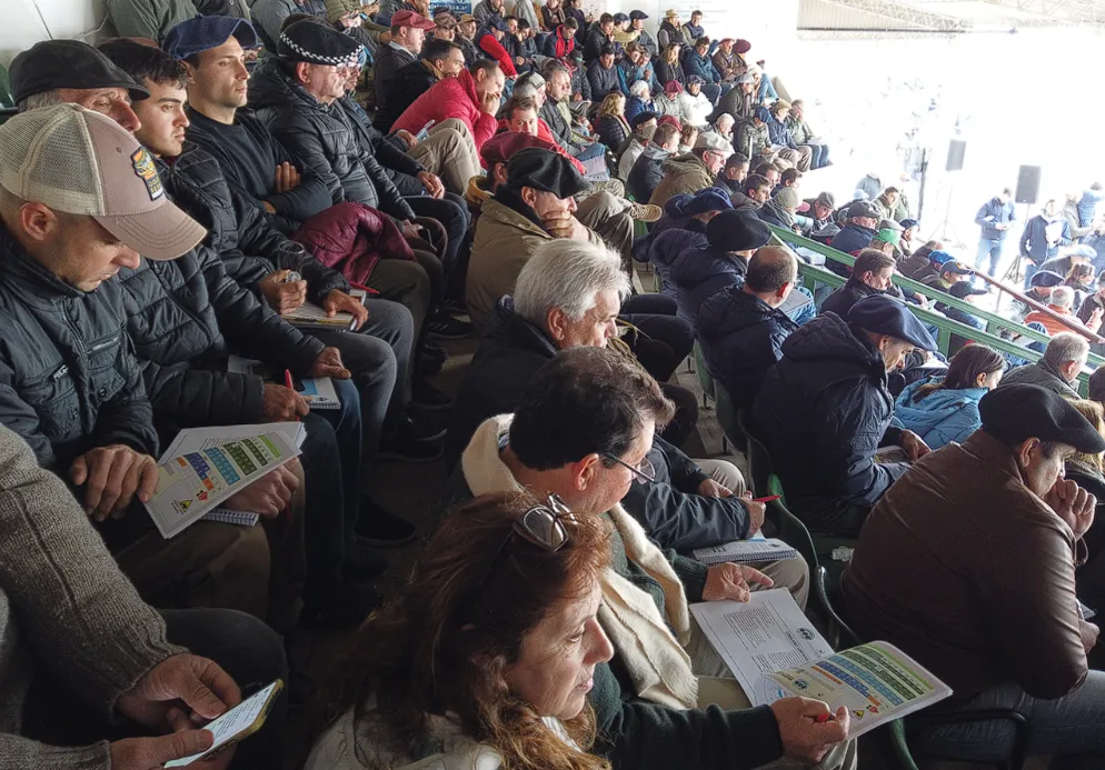 Captura de pantalla 2024-08-09 184719