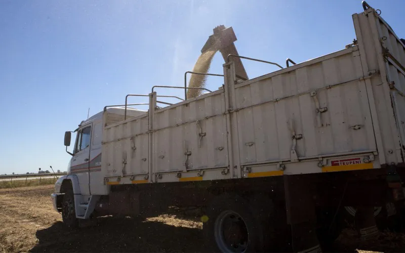 transporte granos