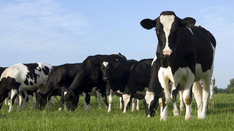 2016-06-02NID_232918O_1