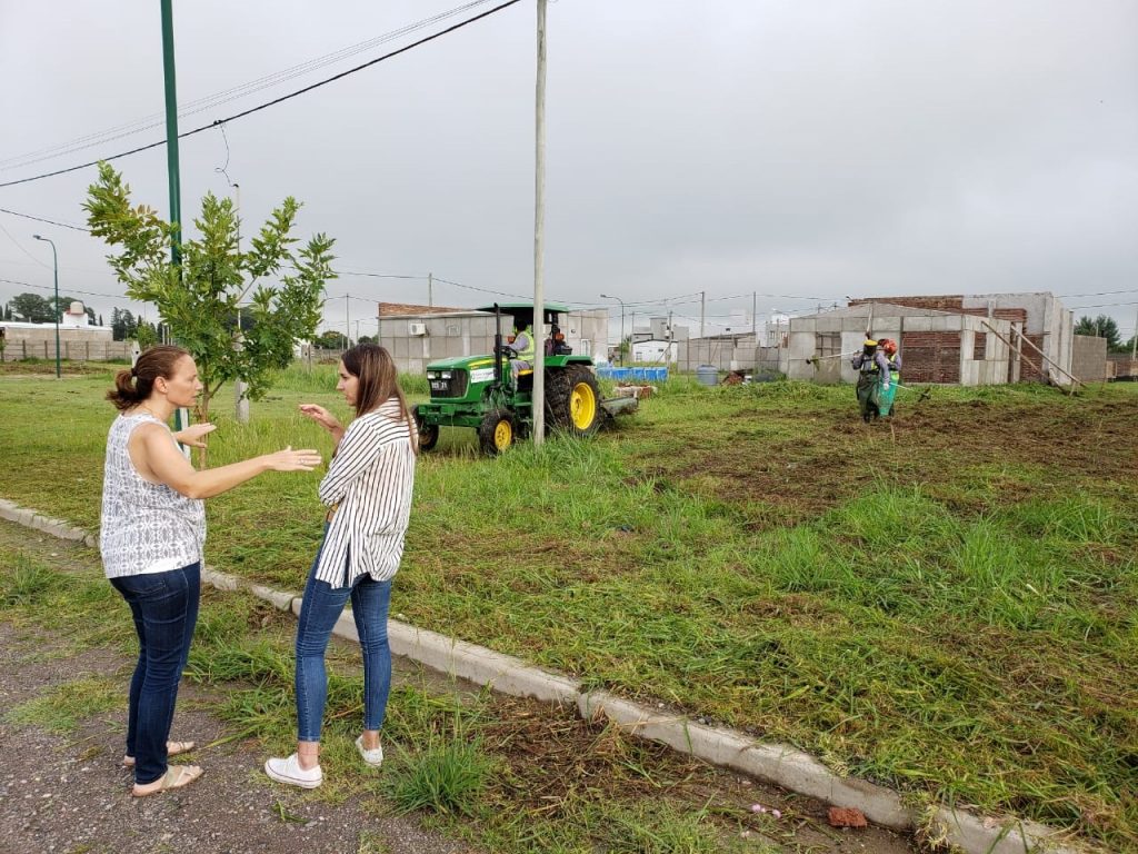 desmalezado-1024x768