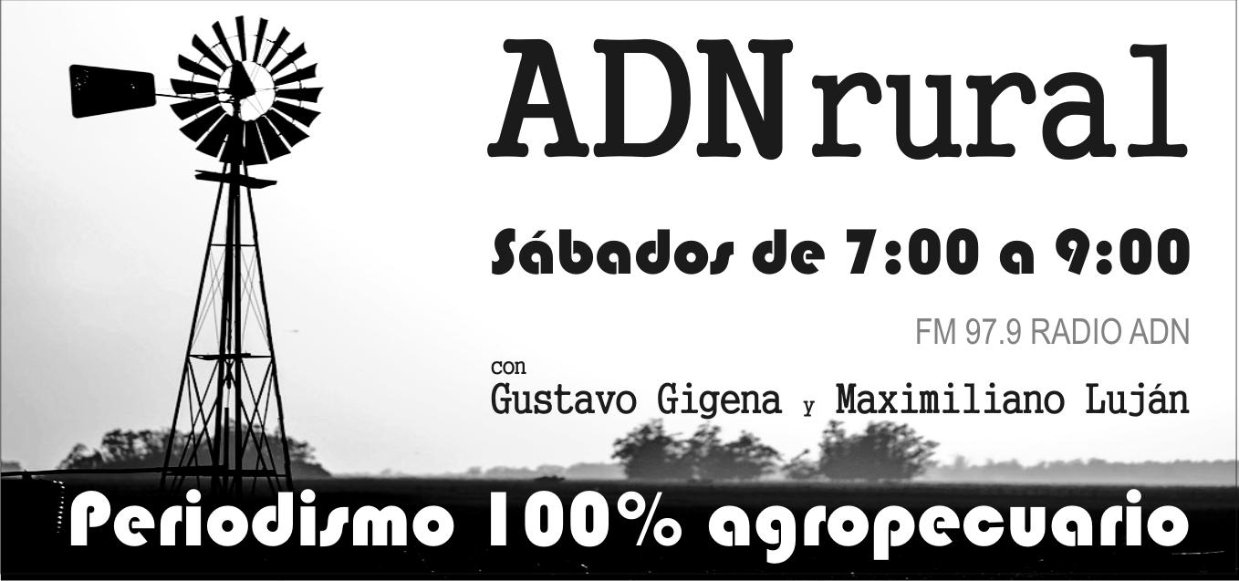 aviso DIARIO