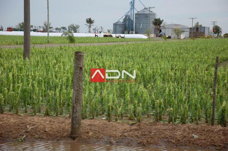 14980635_910579929073317_3412183150353805882_n