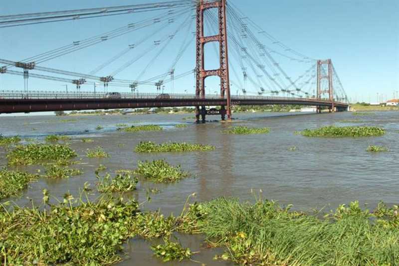 crecida_del_rio_parana
