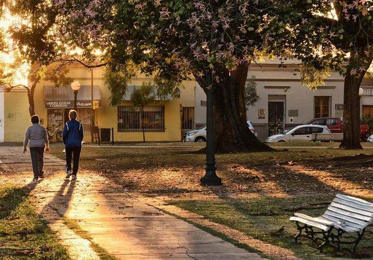 Arbolado - Atardecer - Rafaela - Plaza