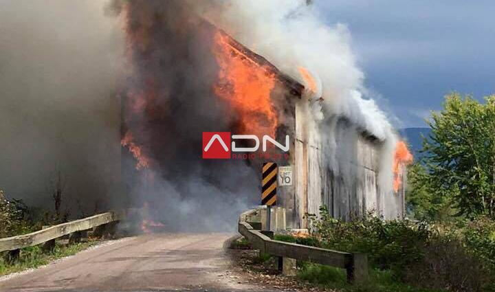 14263981_10154779853338812_2289425101162305040_n