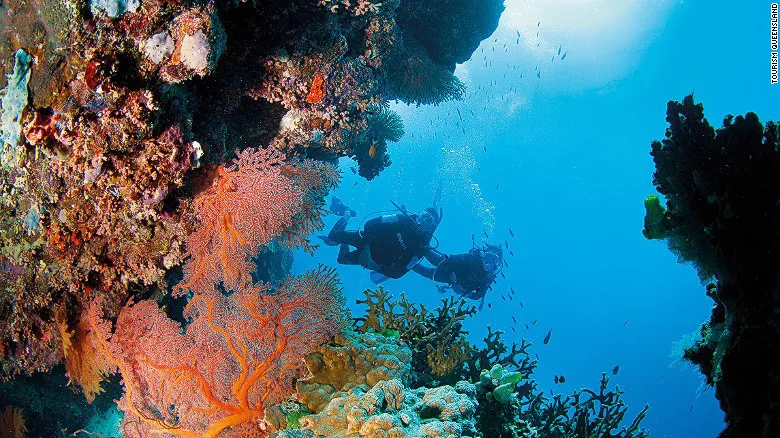 barrera-del-coral