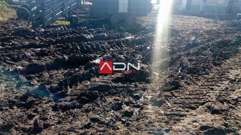 13096306_1180625922001196_6274415473508368329_n