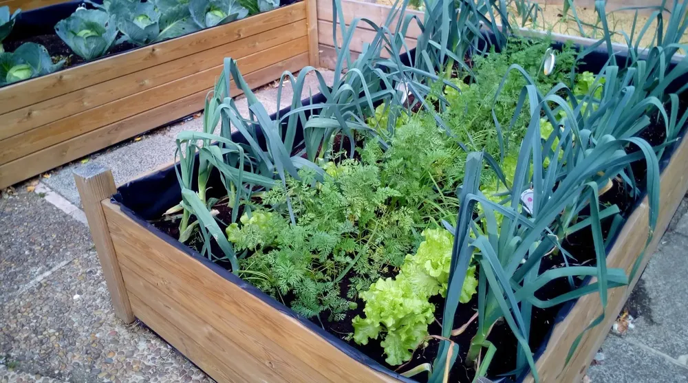 926d93b8-1428-4bc6-843e-ad6b57003763